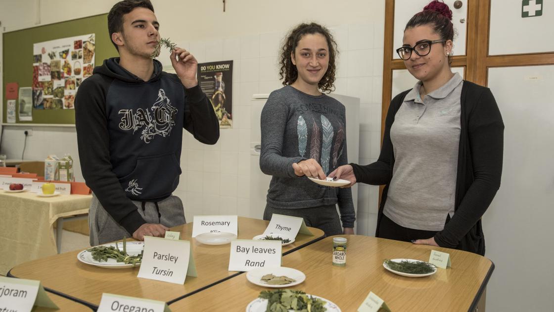 Estudiantes internacionales en Malta estudiando en colegios públicos 